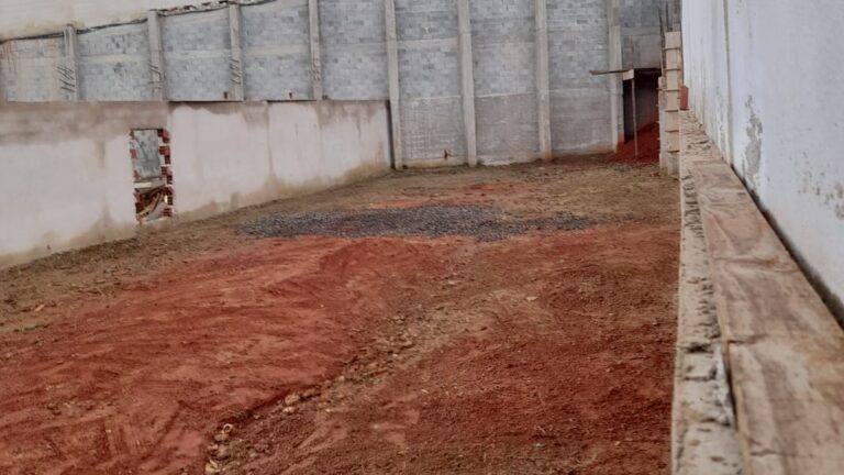 WhatsApp Image 2026-02-24 at 15.26.44