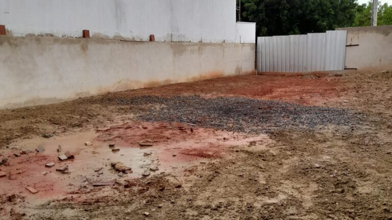 WhatsApp Image 2026-02-24 at 15.26.46