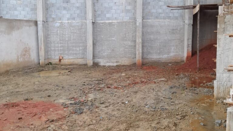 WhatsApp Image 2026-02-24 at 15.26.48