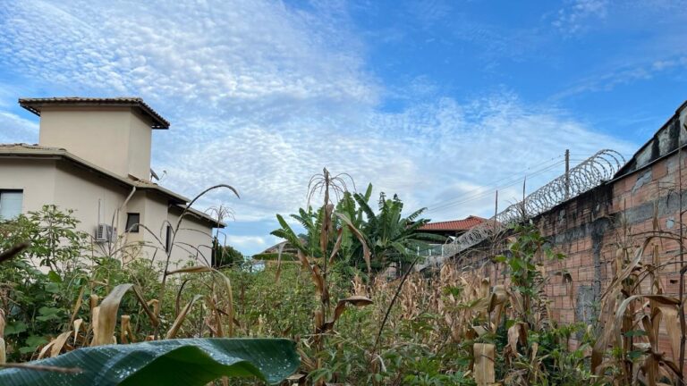 WhatsApp Image 2026-02-24 at 15.32.55